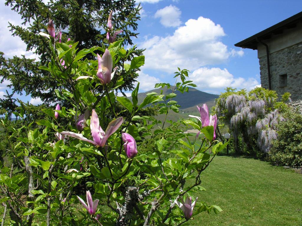 B&B Costalta Compiano Esterno foto